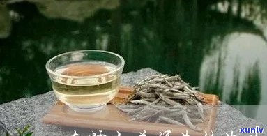 南糯山生茶如何煮？步骤与技巧分享