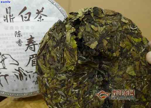 福鼎白茶有古树茶吗-福鼎白茶有古树茶吗图片