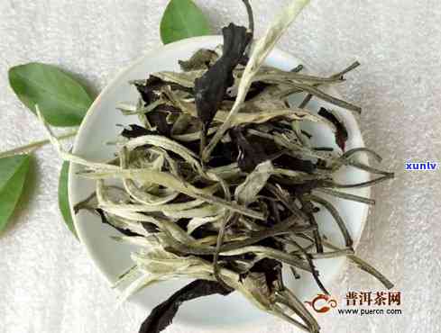 福鼎白茶有古树茶吗-福鼎白茶有古树茶吗图片