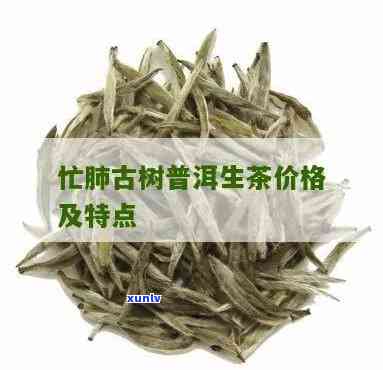 忙肺古树茶收藏价值，揭秘忙肺古树茶的收藏价值：为何它备受瞩目？