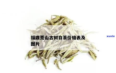 荒山古树茶福鼎白茶-荒山古树茶福鼎白茶2008年