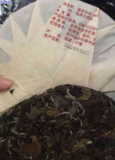 荒山古树茶福鼎白茶-荒山古树茶福鼎白茶2008年