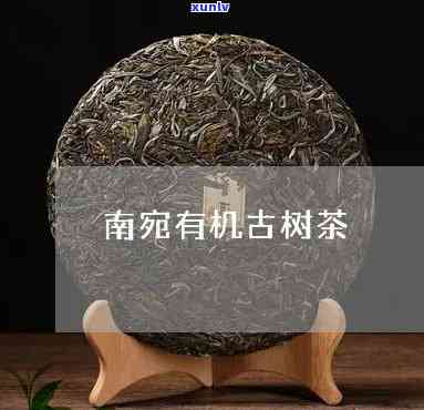 南宛有机古树茶白茶-南宛有机古树茶价格