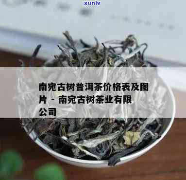 南宛有机古树茶白茶-南宛有机古树茶价格