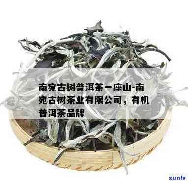 南宛有机古树茶白茶-南宛有机古树茶价格