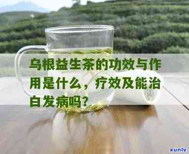 乌根益生茶有效果吗，探究乌根益生茶的功效，它真的有效吗？