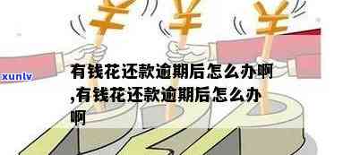 都匀翡翠与原石价格比较：哪个更贵？