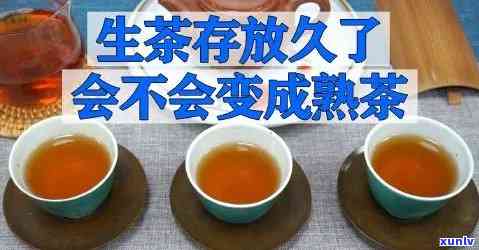 生茶可以放成熟茶吗？详解转化过程与原因