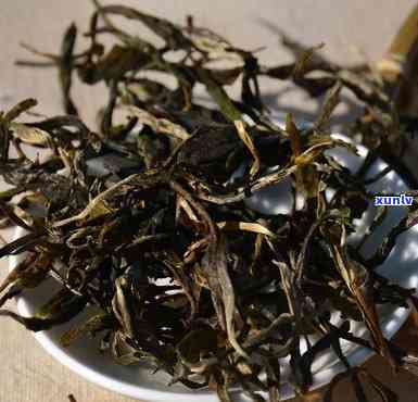 一年的普洱生茶能喝吗，初尝普洱生茶：一年陈放的茶叶是否适合饮用？