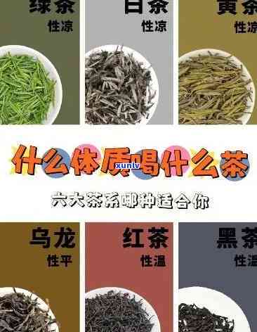 大雾岭茶是什么茶，「大雾岭茶」：探寻这一独特茶叶的来历与特点