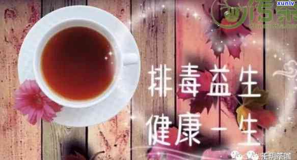 黑元益生茶：真的能有效减肥吗？其功效究竟如何？