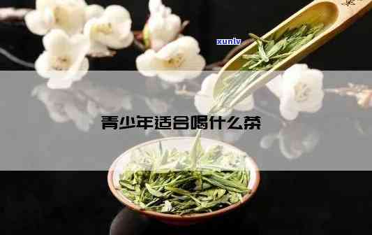 青少年可以喝茶吗喝什么茶好，探讨青少年适合饮用的茶叶种类及其益处