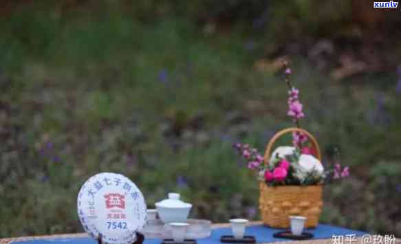 大益茶芳村，探秘大益茶芳村：品味云南特色普洱茶的韵味与魅力