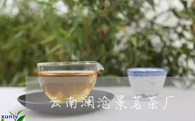 澜沧景茗茶厂茶价格-澜沧景茗茶厂 茶价格