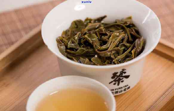 荒山古树茶是哪种茶类，揭秘荒山古树茶：属于哪一类茶？