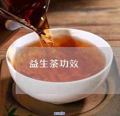 益生茶的功效与禁忌-益生茶的功效与禁忌是什么