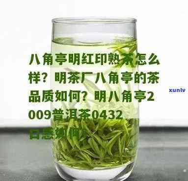 明茶厂八角亭0432，探访明茶厂八角亭0432，感受茶园的静与美丽