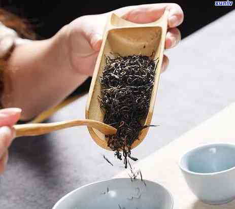 探究雨林古茶中的红茶：农匠与品种全揭秘