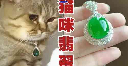 冰种翡翠猫咪能戴吗，询问冰种翡翠猫咪能否佩戴？答案在这里！