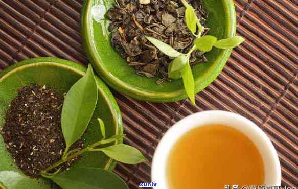 生茶适合什么节喝，四皆宜，揭秘生茶的饮用时节