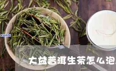 大益沱茶生茶咋样喝-大益沱茶怎么喝