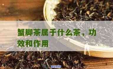 蟹腿茶和生茶一起喝-蟹腿茶和生茶一起喝可以吗