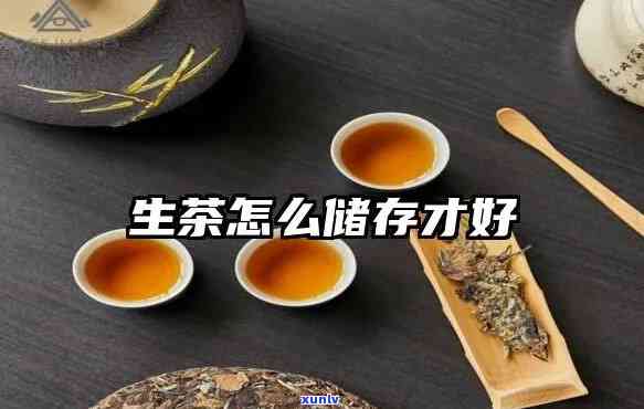 生茶存多久喝比较好喝？专家分享饮用期