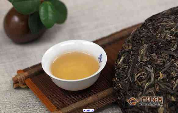 千年古树茶口感特点解析：独特的醇厚与清香