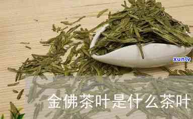 武夷山金佛茶：什么种类的茶叶？