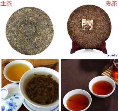 麻黑生茶的口感特点是什么，探秘麻黑生茶的独特口感特点