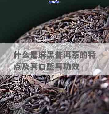 麻黑生茶的口感特点-麻黑属于什么档次的茶