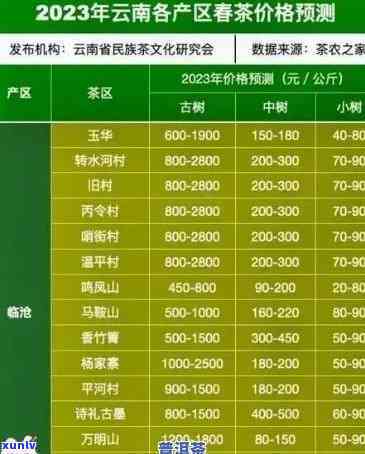 喝普洱茶后出现持续性咳嗽和痰多问题，如何解决？