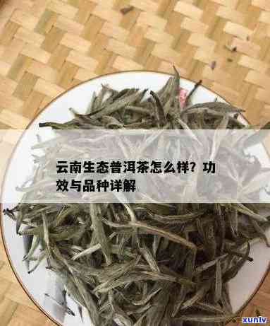 云生茶09年产的好喝吗？口感如何？