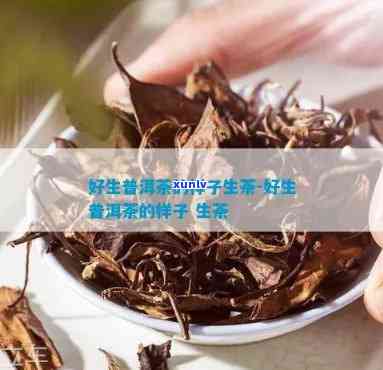 什么样的生茶是好的-什么样的生茶才是一款好生茶?