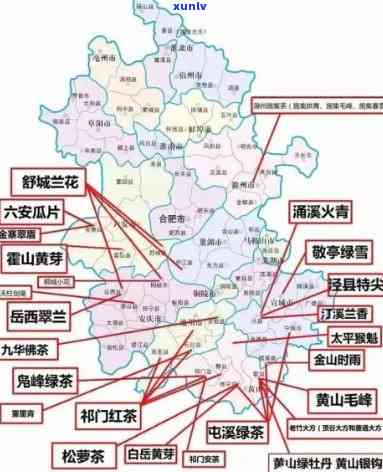 中国养生茶批发基地在哪里？盘点全国主要城市与地区