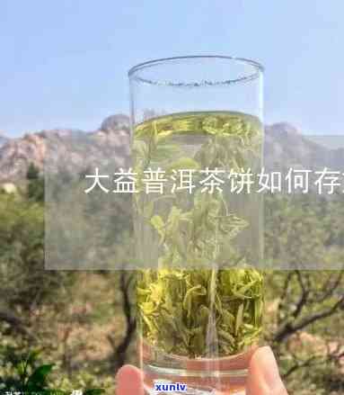 大益茶生普的正确存放 *** 及冲泡技巧