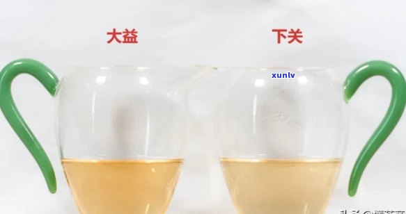 下关和大益哪个好喝，口感对决：下关与大益，谁的茶更胜一筹？