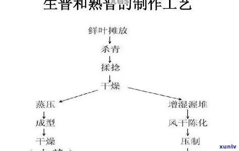 生茶的 *** 工艺流程图详解：步骤、图片解析