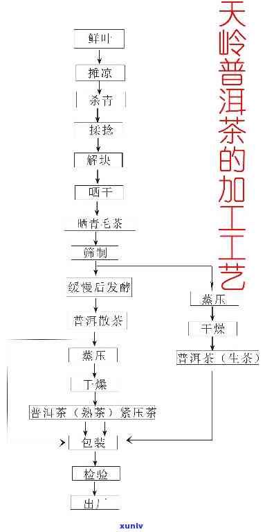 养生茶 *** 工艺流程-养生茶 *** 工艺流程图