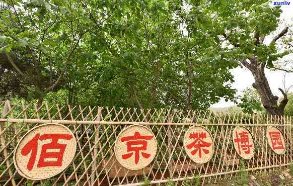 北京养生茶场-北京养生茶场在哪里