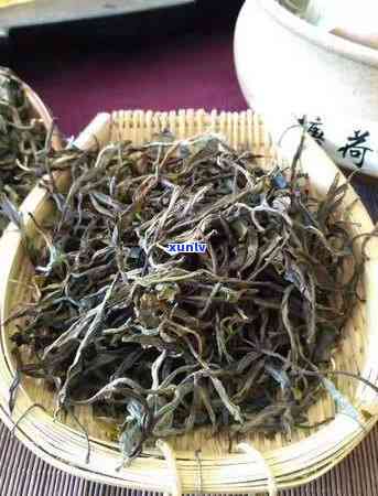 潽洱生茶属于什么茶-潽洱生茶的功效