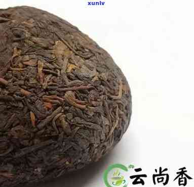 下关沱茶和大益哪个好，比较测评：下关沱茶与大益茶的口感与品质究竟谁更胜一筹？