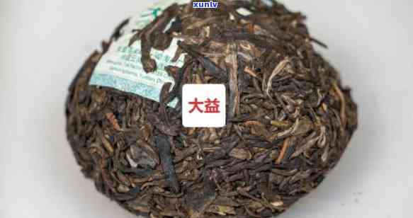 大益茶与下关沱茶：哪个的口感更胜一筹？