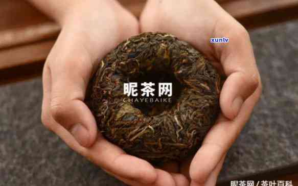 下关沱茶生茶：冲泡 *** 与好处详解，哪种更好？