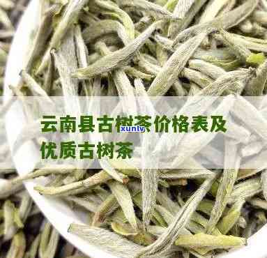 云春茶厂木古树茶-云春茶厂木古树茶价格多少