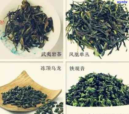 乌龙生茶包含哪些茶种，探究乌龙生茶的多样性：包含哪些茶种？