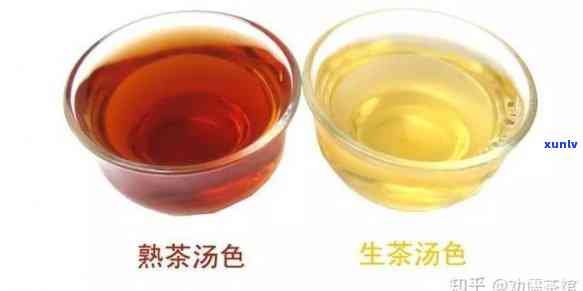 紫天砖：生茶还是熟茶？区别与选择指南