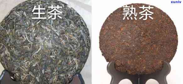 紫天砖：生茶还是熟茶？区别与选择指南