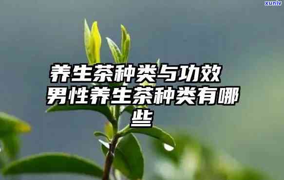 男人常喝的养生茶推荐：必备饮品，护健