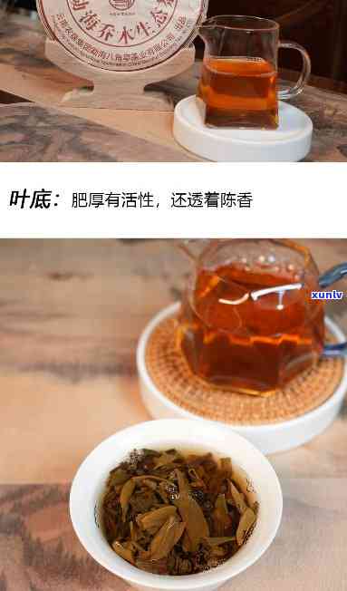 2013年八角亭七星雀茶王，2013年八角亭七星雀茶王：品味云南普洱的独特魅力